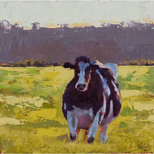 Fat Cow in the Field
