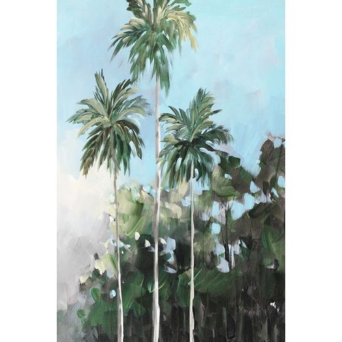 Palms on the Coast