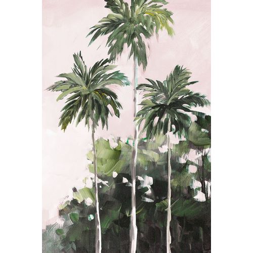 Palms Under A Pink Sky