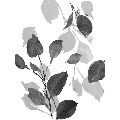 Gray Simple Leaves