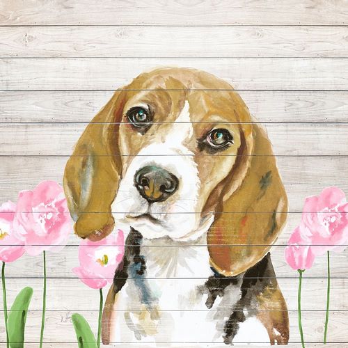 Pinto, Patricia 작가의 Beagle With Flowers 작품
