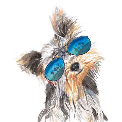 Yorkie with Shades