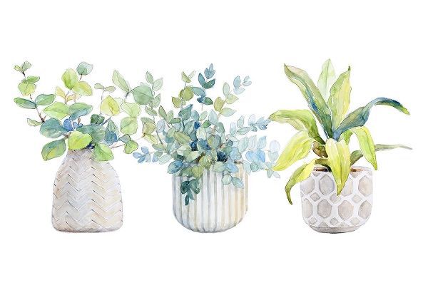 Decorative Plant Trio I