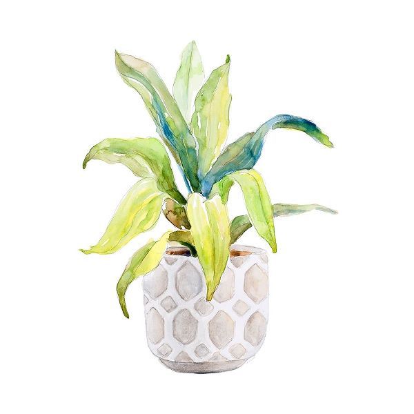 Plant in Decorative Pot I