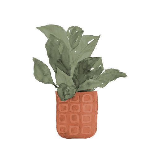 Loreth, Lanie 아티스트의 Plant In Terracotta  Pot II작품입니다.