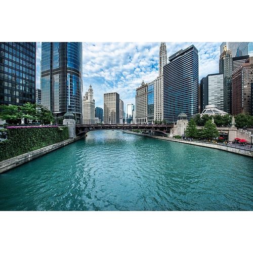 Chicago River View