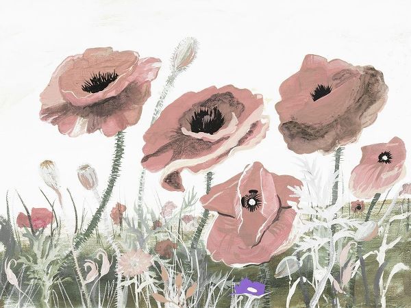 Victory Pink Poppies II