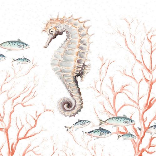 Seahorse On Coral
