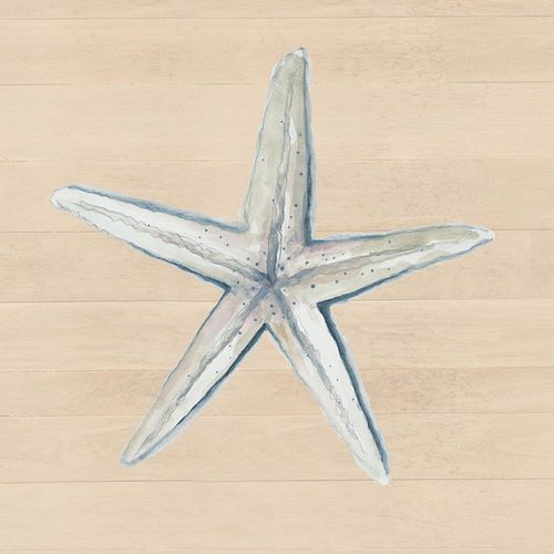 Pinto, Patricia 작가의 Starfish On Wood Background 작품