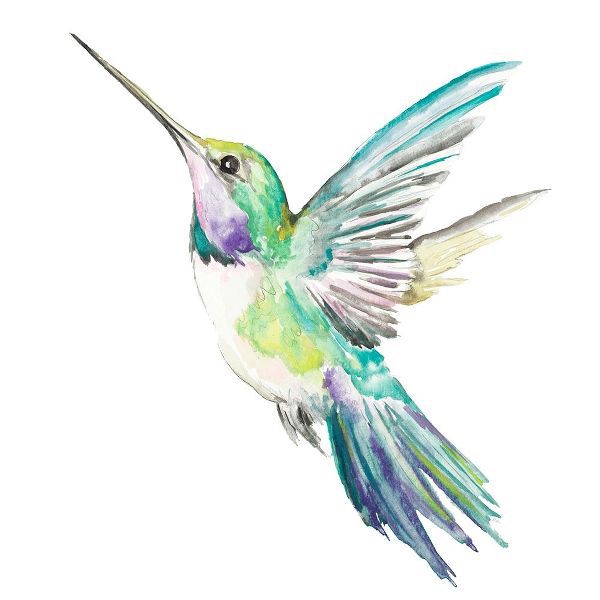 New Hummingbird