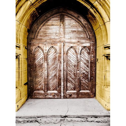 Golden Cathedral Door I