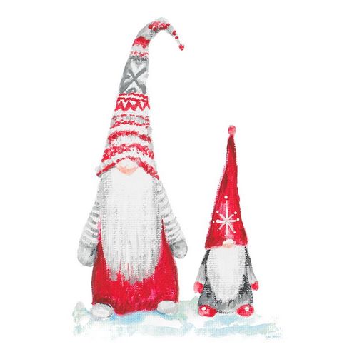 Gnome Duo