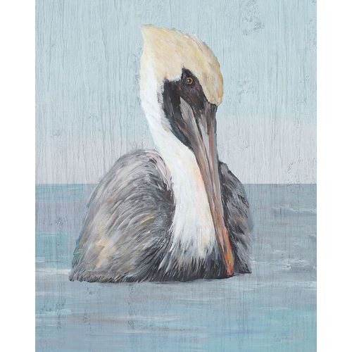 Pelican Wash II