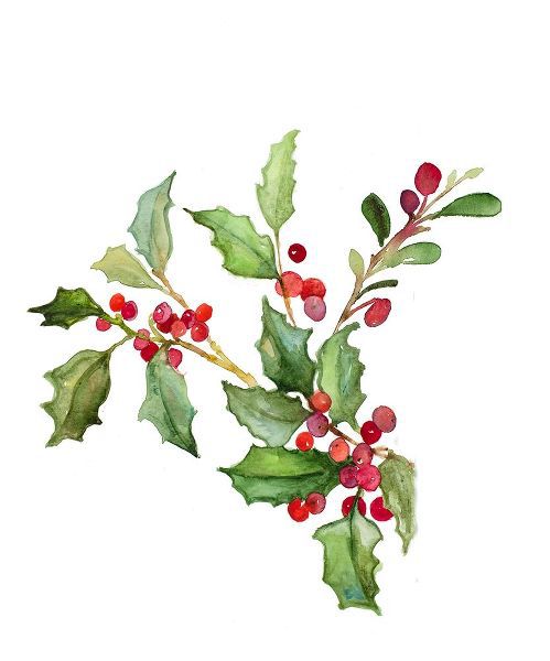 Holly Branches II