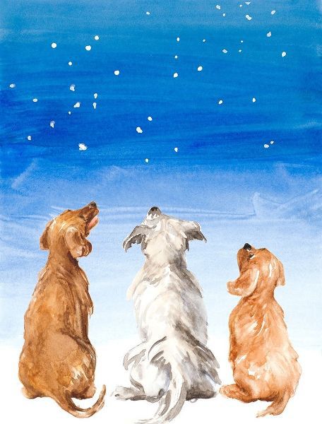 Three Dogs Star Gazing