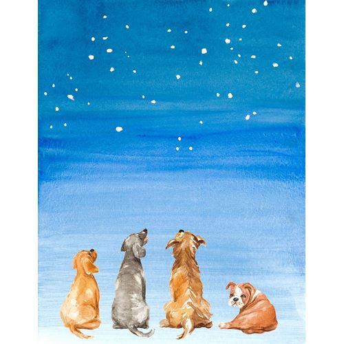 Four Dogs Star Gazing