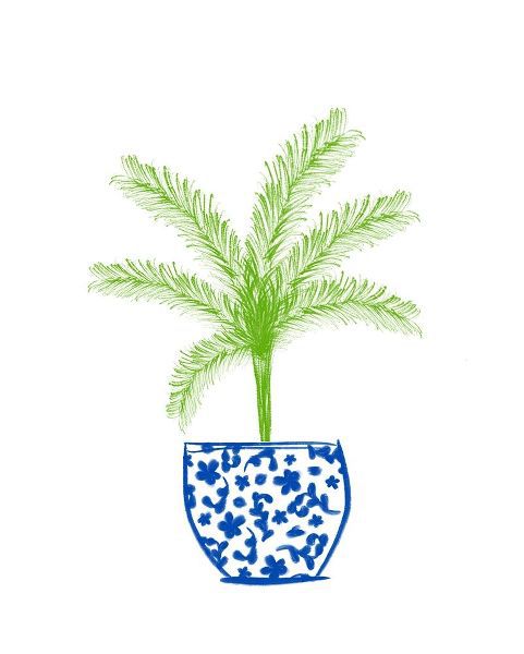 Potted Plant II