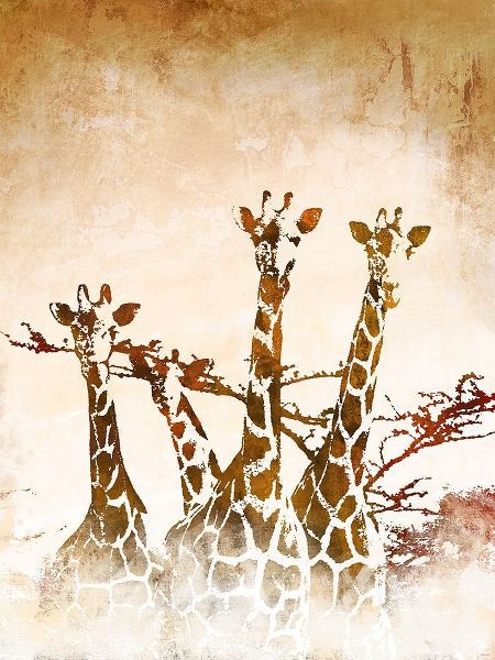 Safari Giraffe II