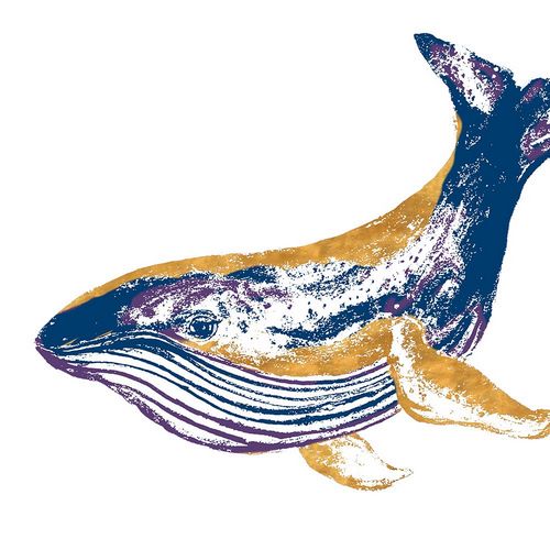 Pinto, Patricia 작가의 Golden Navy Whale 작품