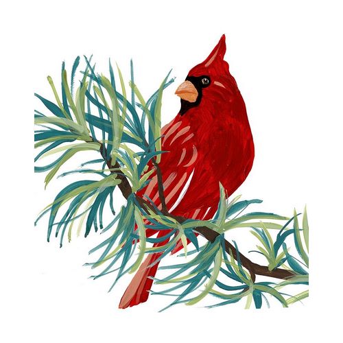 Modern Cardinal on Branch II