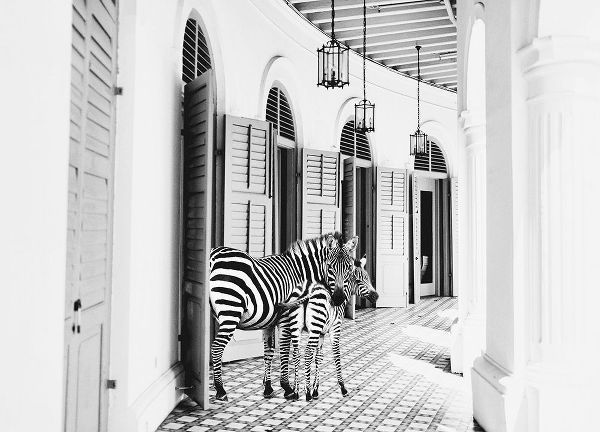 Zebra Hotel