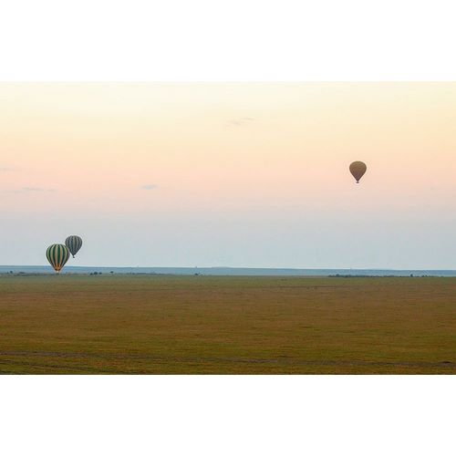 Mansfield, Kathy 작가의 Hot Air Balloons over Kenya II 작품