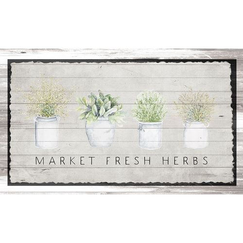 Gaynor, Janice 작가의 Market Fresh Herbs 작품