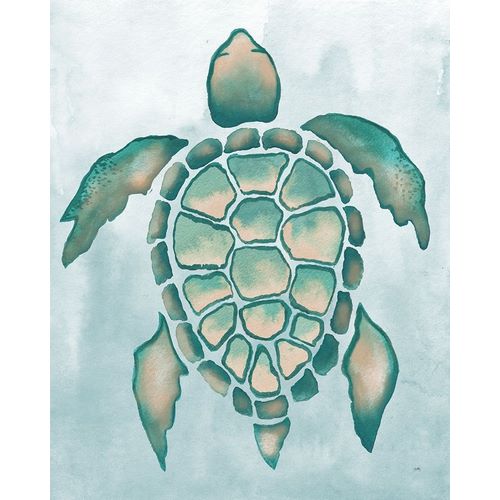Aquatic Turtle I