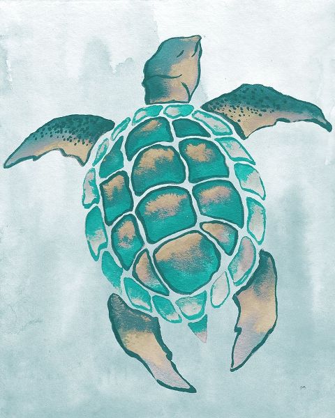 Aquatic Turtle II