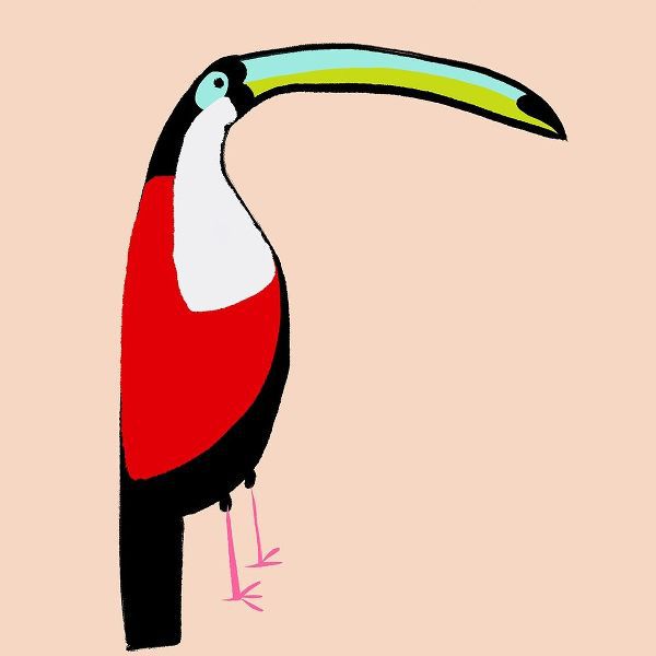 Abstract Toucan