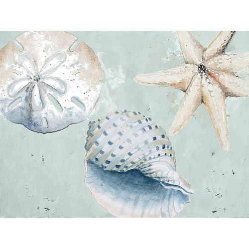 Pinto, Patricia 아티스트의 Sea Shells And Starfish작품입니다.