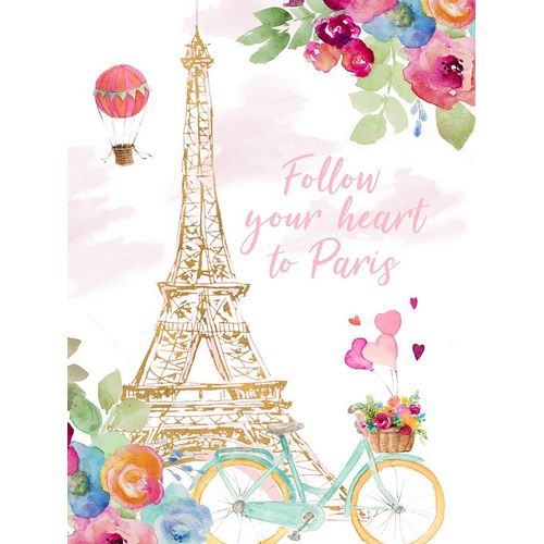 Paris Bike Ride