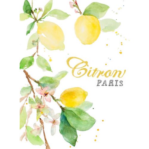 Spring Citron In Paris
