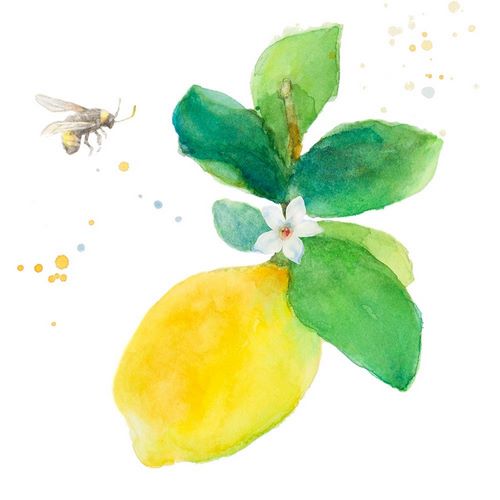 Bee-Friend The Lemon I