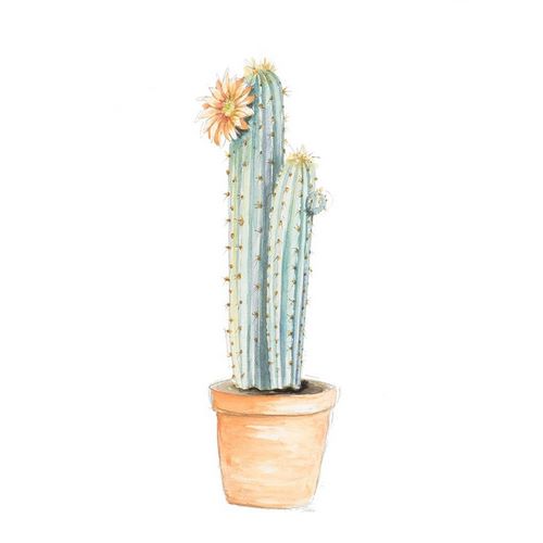 Potted Flower Cactus I