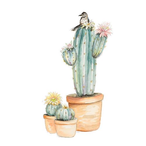 Bird On Flower Cactus