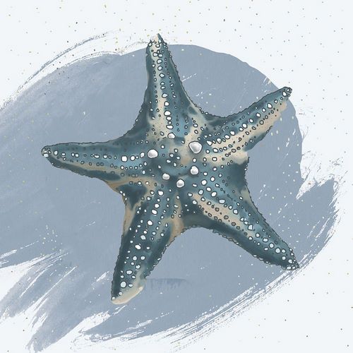 Sheppard, Lucca 작가의 Starfish 작품