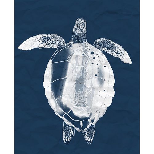 Sheppard, Lucca 작가의 Sea Turtle On Navy 작품