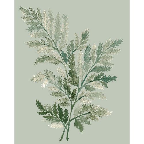Medley, Elizabeth 아티스트의 Tonal Green Ferns I작품입니다.