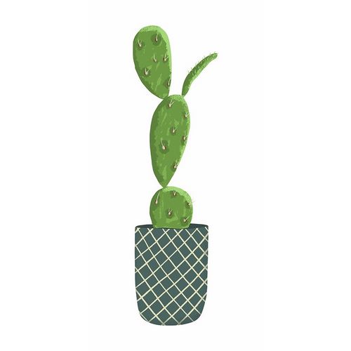 Modern Cacti Pot II