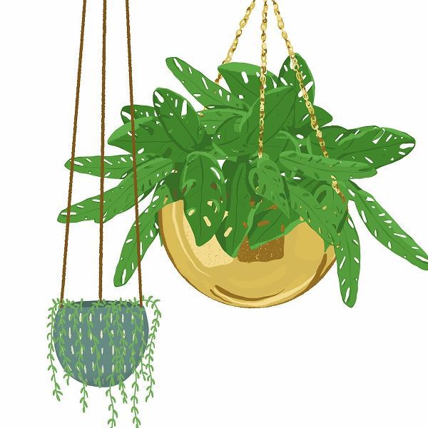 Hanging Plant Set