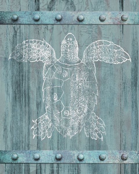 Meneely, Dan 작가의 White Turtle Painted On Blue Wood 작품