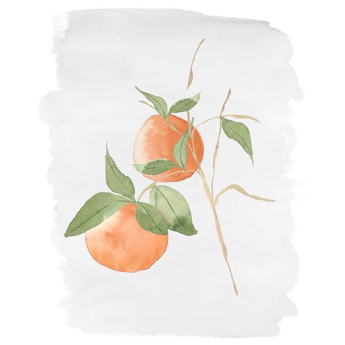 Price, Lucille 아티스트의 Fresh Oranges작품입니다.