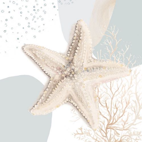 Pinto, Patricia 아티스트의 Ocean Oasis Bubbles Starfish작품입니다.