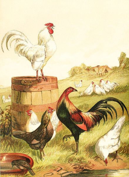 Piddix 아티스트의 Happy Chickens작품입니다.