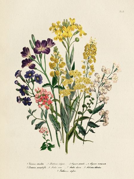 Piddix 아티스트의 Vintage Flowers I작품입니다.