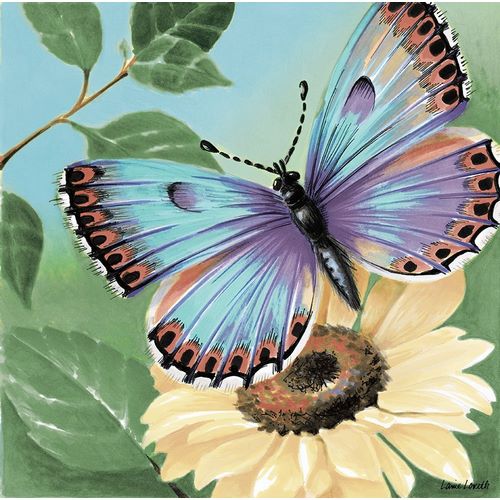 Butterfly Flowers II