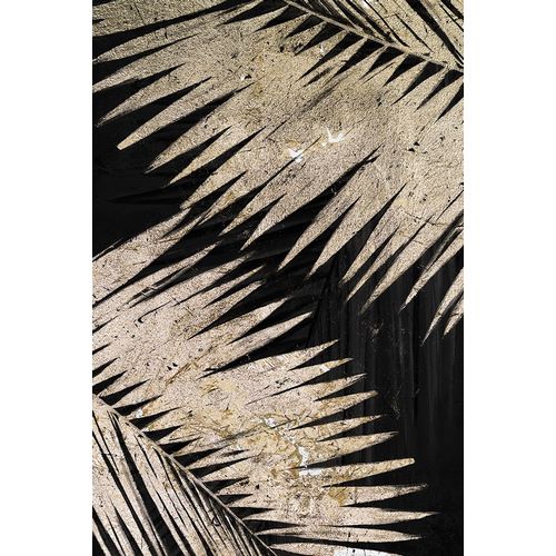 Natural Palms on Black III