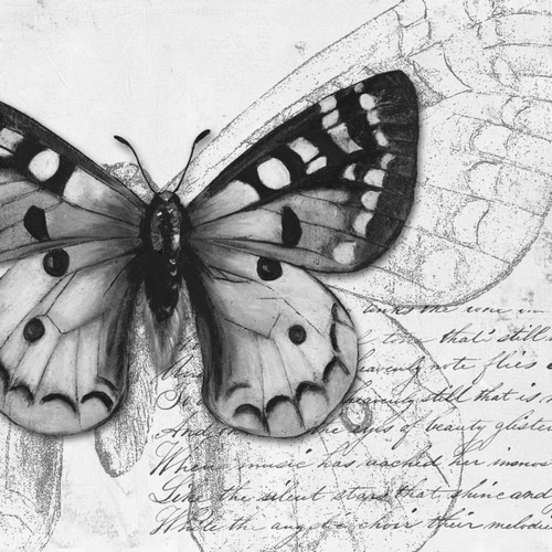Butterfly Studies I