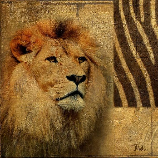 Elegant Safari II (Lion)